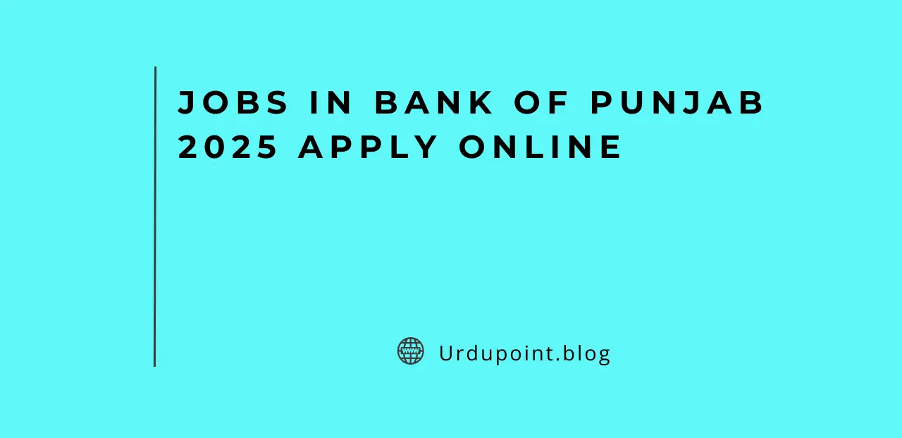 Jobs in Bank of Punjab 2025 Apply online